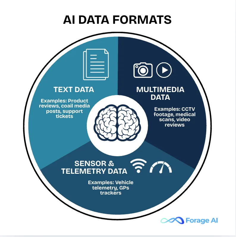 AI data formats: text data, multimedia data, and sensor and telemetry data, with examples of each