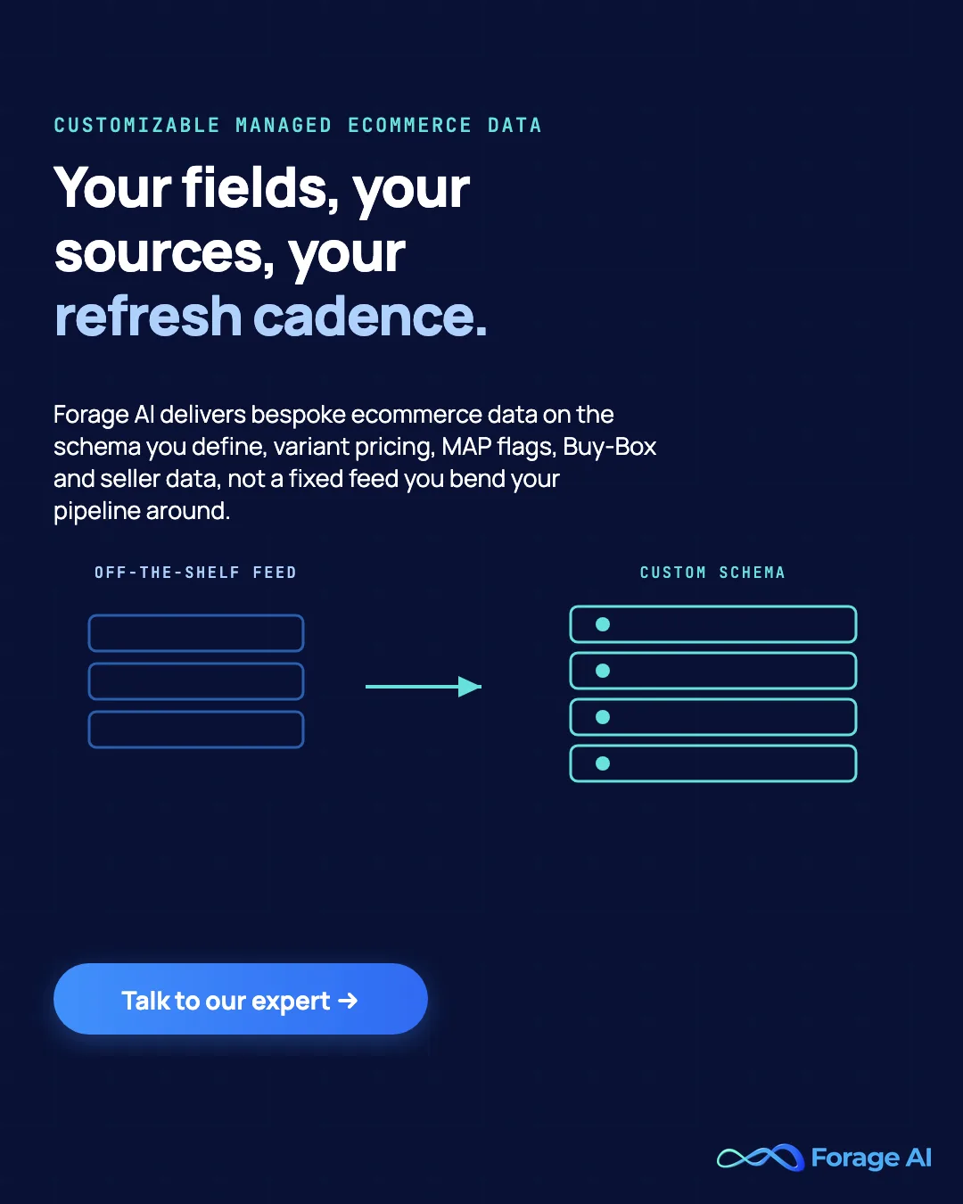 Forage AI banner: your fields, your sources, your refresh cadence, bespoke ecommerce data on a schema you define with variant pricing, MAP flags, and Buy-Box data, with a talk to our expert call to action.