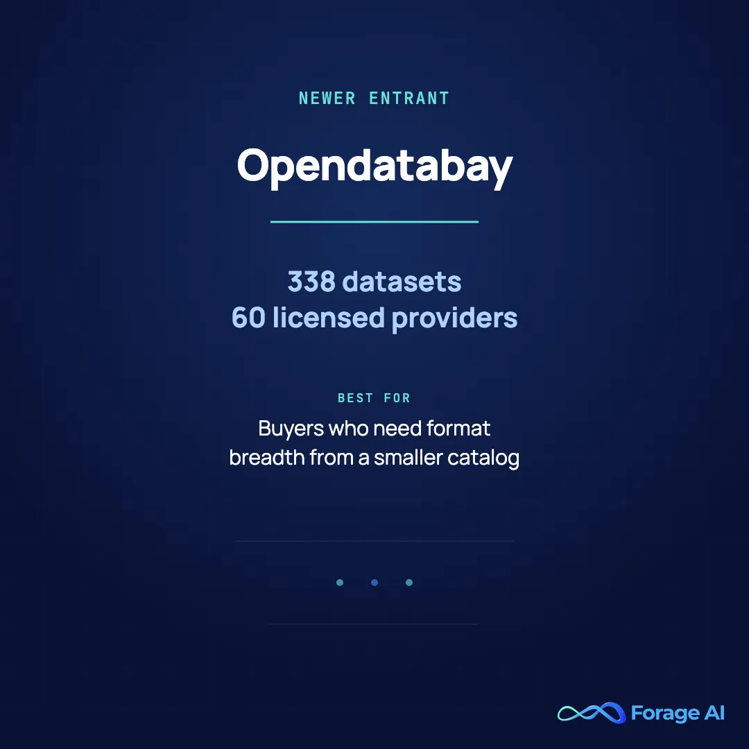 Provider card for Opendatabay, a newer-entrant AI dataset marketplace with 338 datasets from 60 licensed providers, best for buyers who need format breadth from a smaller, newer catalog.