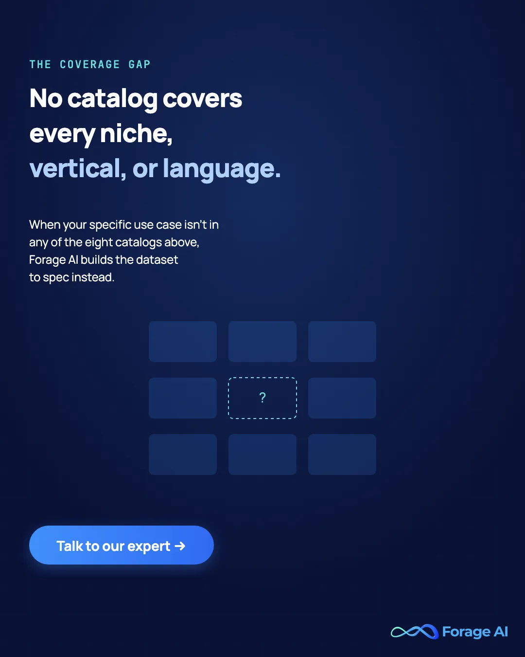 Promotional graphic reading no catalog covers every niche, vertical, or language; Forage AI builds the dataset to spec instead, with a call to action to talk to a Forage AI expert.