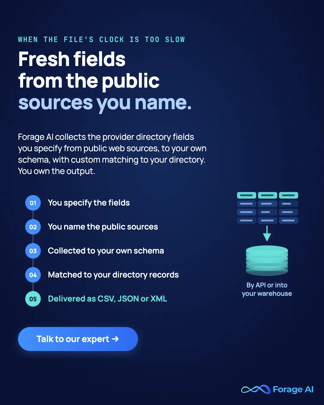 Forage AI promotional banner reading "Fresh fields from the public sources you name." Five steps: you specify the fields, you name the public sources, collected to your own schema, matched to your directory records, delivered as CSV, JSON or XML; beside them a schema table flowing by API or into your warehouse, and a Talk to our expert button.