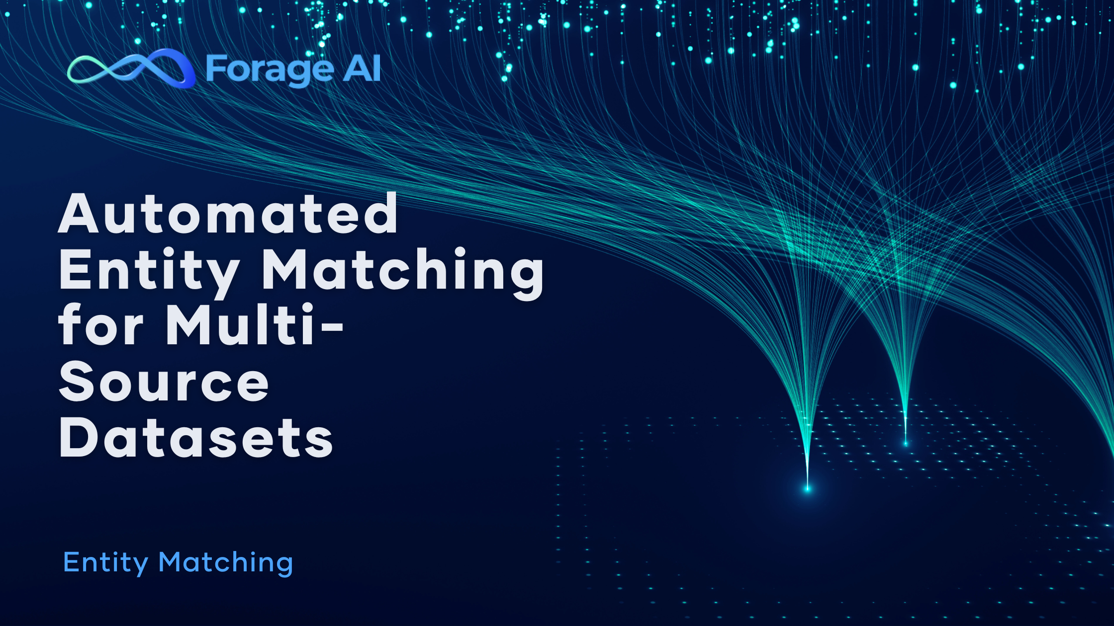 What’s the most efficient way to automate entity matching across messy, multi-source datasets?