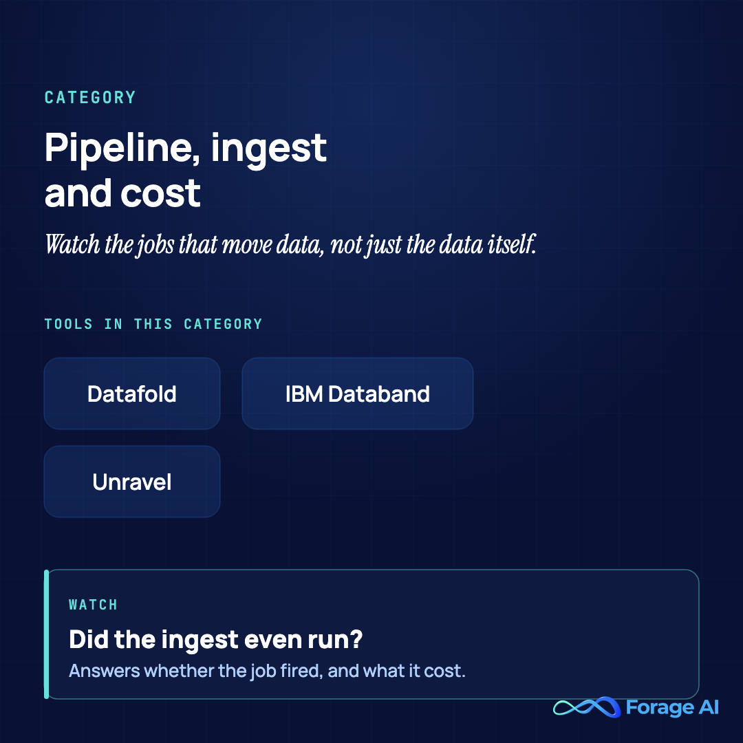 Category summary: pipeline, ingest and cost observability tools (Datafold, IBM Databand, and Unravel) that watch the jobs that move data rather than just the data itself. Watch: they answer whether the ingest job ran, and what it cost.