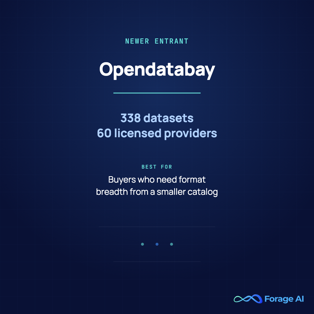 Provider card for Opendatabay, a newer-entrant AI dataset marketplace with 338 datasets from 60 licensed providers, best for buyers who need format breadth from a smaller, newer catalog.