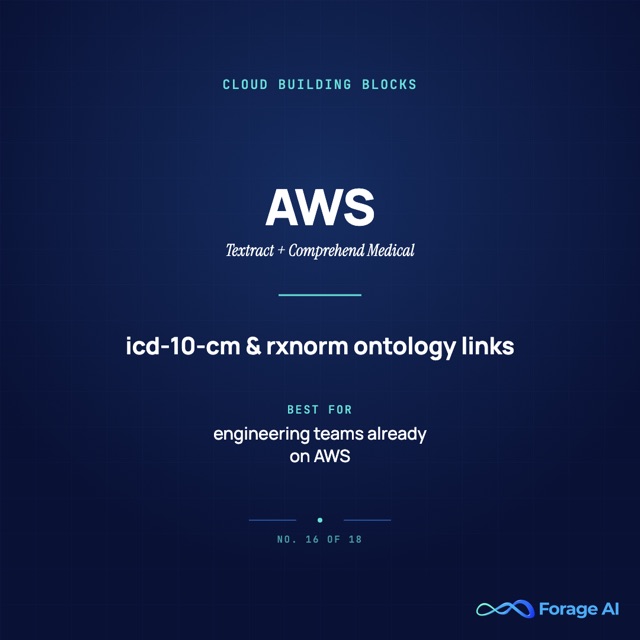 AWS provider card: cloud document processing building blocks, ICD-10-CM and RxNorm ontology links via Comprehend Medical.